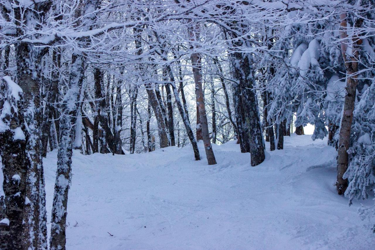 Smugglers' Notch Resort Private Suites Cambridge Buitenkant foto