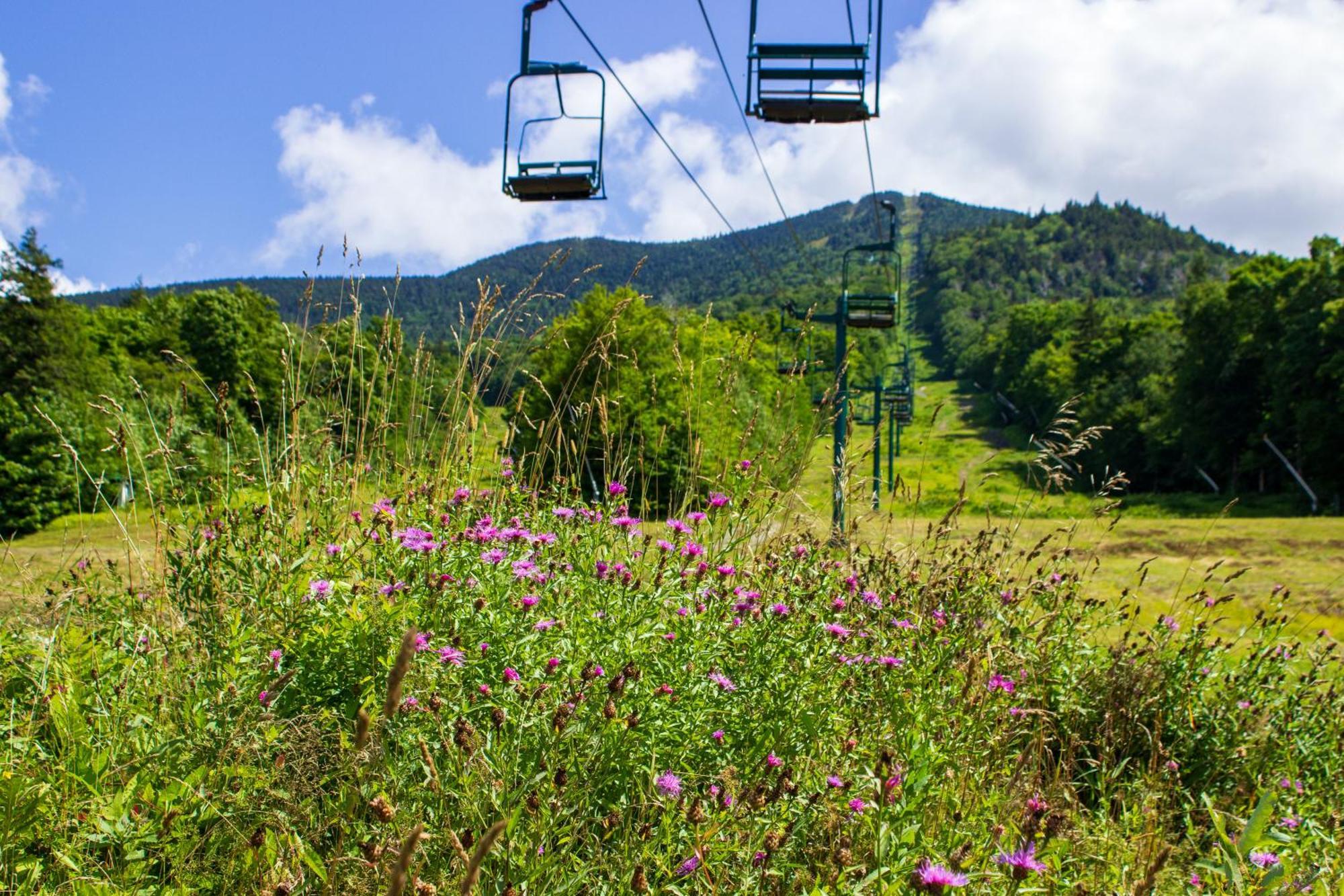 Smugglers' Notch Resort Private Suites Cambridge Buitenkant foto